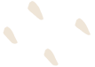 shape4546